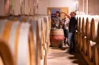 Dégustation de vin dans un chai à barriques