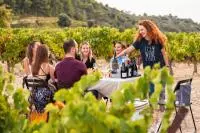 Repas dans les vignes de la Vallée du Rhône