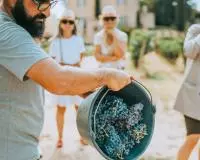 ban vendanges coquillade