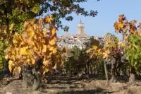 Vu sur le village de Sablet