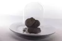 Truffe présentée pour une dégustation