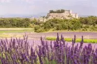 Vu sur le château de Grignan depuis un champs de lavandes