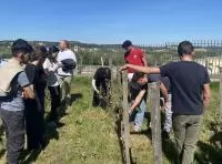 Les élèves du lycée viticole d'Orange taillent la vigne de Clos du Palais des Papes