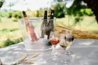 Déjeuner dans les vignes avec dégustation de vins de la Vallée du Rhône