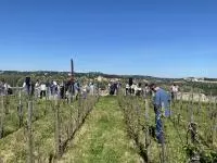 Vue d'ensemble sur la parcelle du Clos des Papes