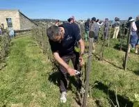 Le Président d'Inter Rhône taille son pied de vigne attitré
