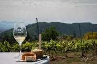 Vin et planche à déguster dans les vignes de Cornas