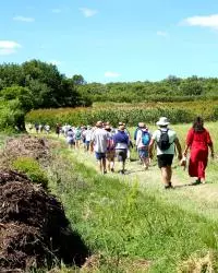 Participants à l'événement Vin Côté Cours dans l'AOC Duché d'Uzès