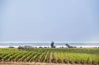 Parcelle de vignes avec vue sur le Rhône en Costières de Nîmes