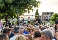 Concert lors de la soirée Les Chats partent en live