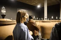 Dégustation de vins élevés en amphores