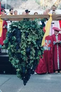 Défilé dans les rues de Châteauneuf-de-Gadagne lors du ban des vendanges