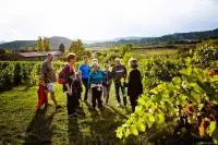 Visite dans les vignes au Domaine Peylong