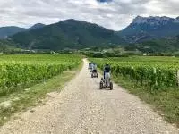 Balade en gyropode dans les vignes au domaine Raspail Jean-Claude et fils