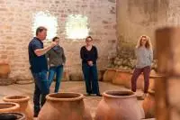 Visite dans un chai reconstitué de l'époque romaine