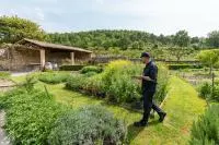Le chef cuisinier du Chêne Bleu cueille des herbes dans le potager du domaine