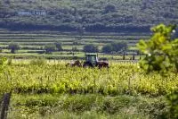 Diversité terroirs- © Denis Plat