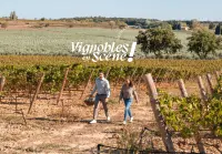 Programme Vignobles en Scène 2026