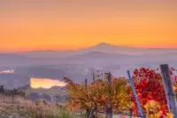 Vue sur le Rhône et ses vignobles à l'automne