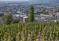 Vignes sur les côteaux de la Vallée du Rhône Nord