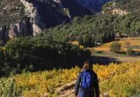 Dentelles de Montmirail © Alain-Hocquel