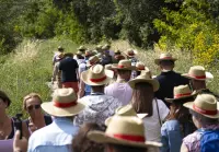 Les Vignes Toquées © Costières de Nîmes