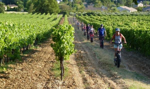 Domaine le Grand Jardin : Balade en trottinettes électriques tout terrain