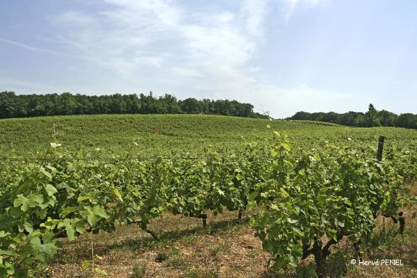 Château la Rolière