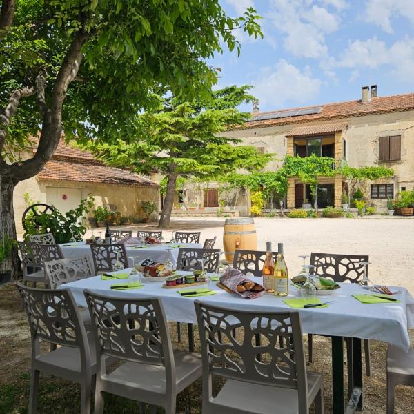 Dégustation et pique-nique - Domaine des Favards
