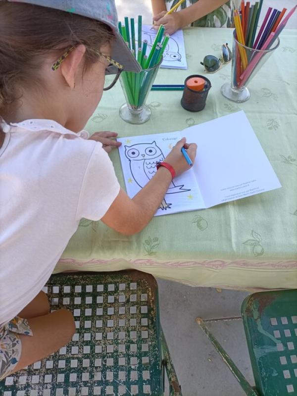Jeu des Pitchouns au Domaine Le  Novi à La Tour d'Aigues