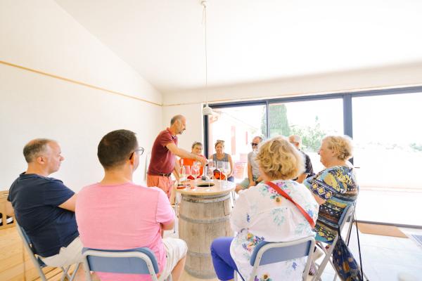 Dégustation détaillée des Vins Bio du Clos de Caveau