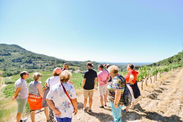 Guided tour of Clos de Caveau