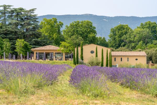 De la vigne au verre au Château de Sannes