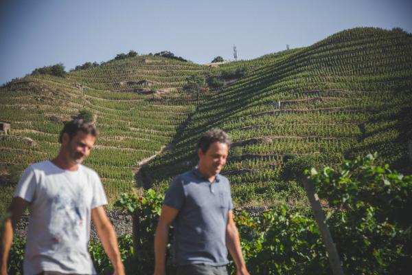 Visite prestige du Domaine Luyton-Fleury