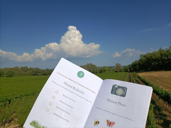 Jeu des Pitchouns au Domaine Le  Novi à La Tour d'Aigues