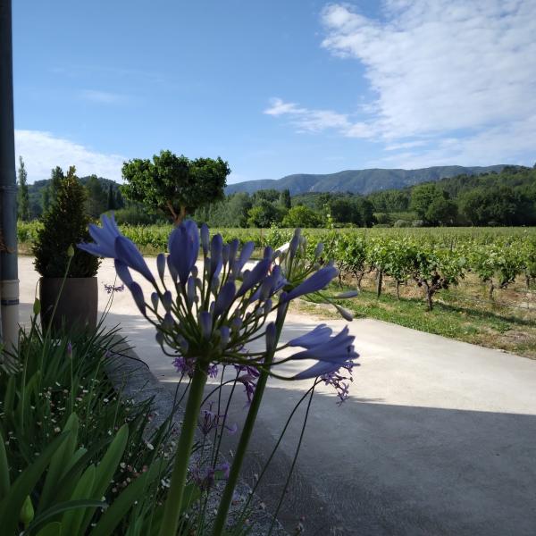 In the footsteps of the Garelle" educational trail