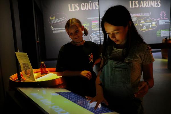 Neovinum: visit the immersive sensory tour