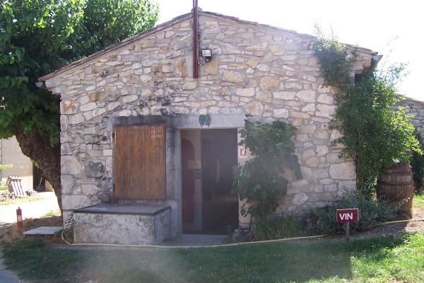 Vineyard tour - Domaine de Mermès