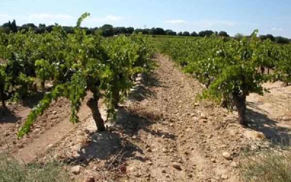 Les Domaines Roudil Jouffret