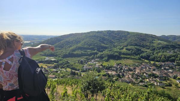 Village viticole de Saint-Désirat