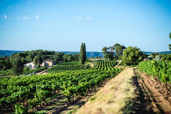 Domaine La Réméjeanne