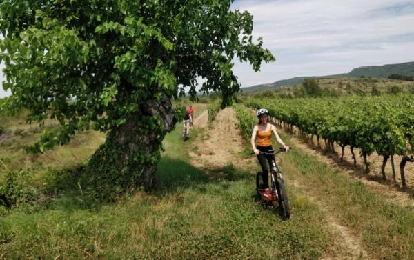 La Selve à trottinette !