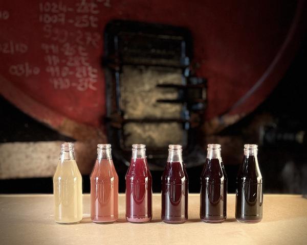 Visite de cave et dégustation commentée au domaine Tour Paradis