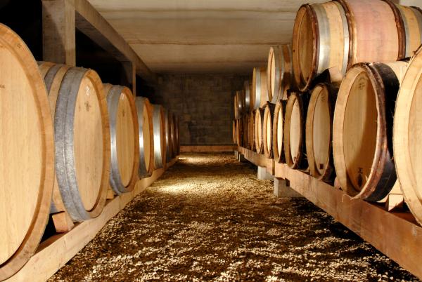 Winery tour and guided tasting - Domaine la Monardière