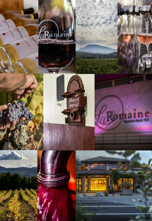 Enigmes de la Romaine - Cave La Romaine