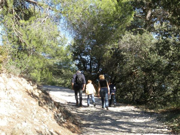 Jeu de piste dans les vignes et les oliviers !