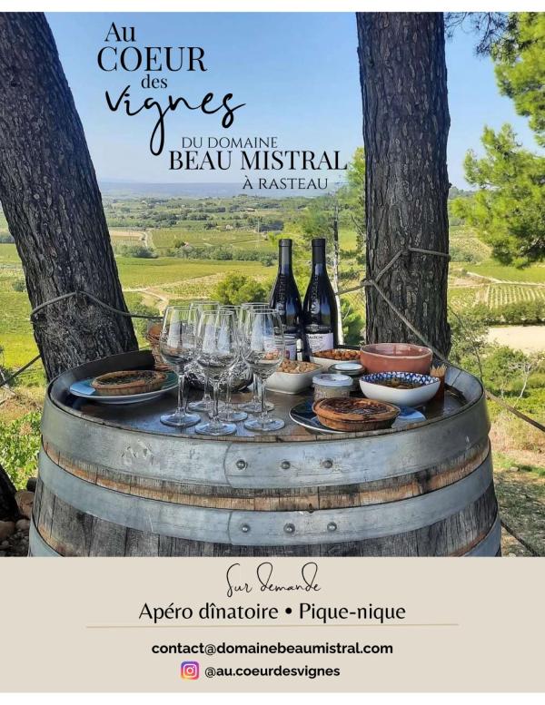 Cocktail reception amidst the vineyards - Domaine Beau Mistral