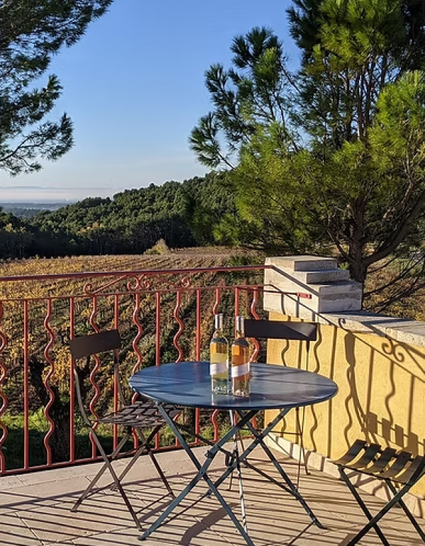 Pique-nique en plein air au Clos de Caveau