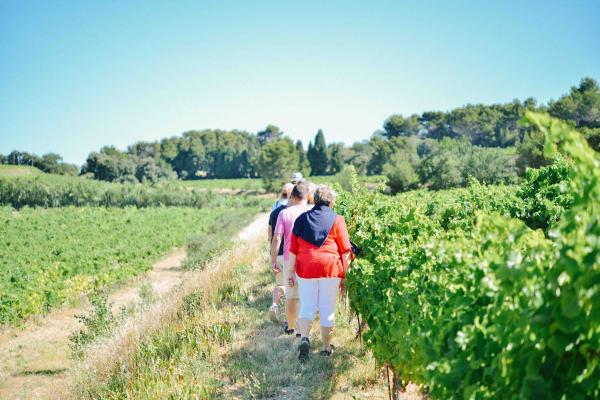 Vineyard trail at Clos de Caveau