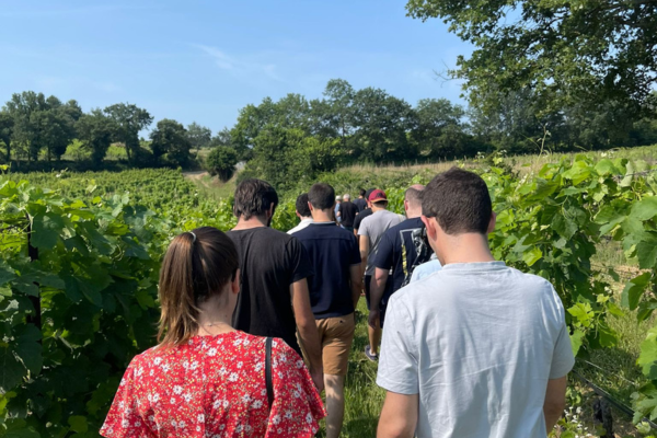 Au coeur du vignoble au Domaine " Le Novi"